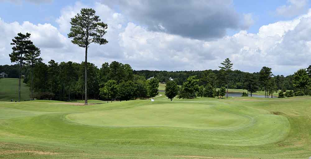 Golfplatz-Golf-Golfsport