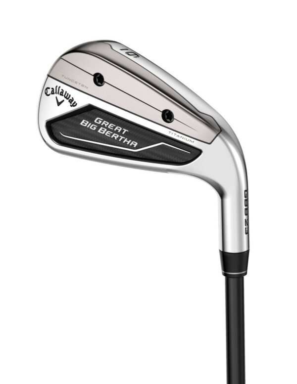 Great Big Bertha Iron 2022 Back